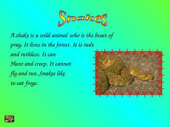 Animals #11