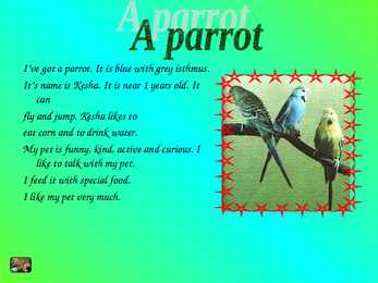 Animals #13
