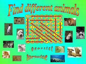 Animals #20