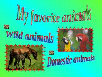 Animals #3