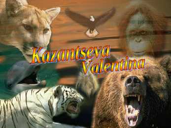 Animals #21