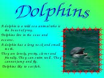 Animals #5