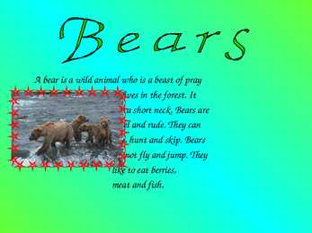 Animals #7