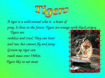Animals #9