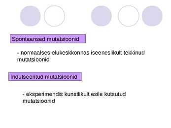 Genoommutatsioonid #11