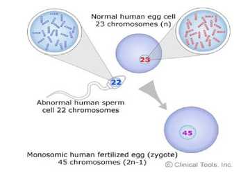 Genoommutatsioonid #9