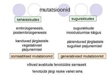 Genoommutatsioonid #10