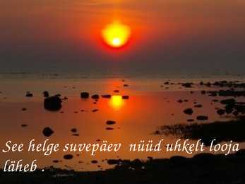 Underi luulekava #14