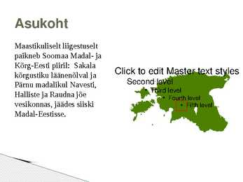 Soomaa rahvuspark #3
