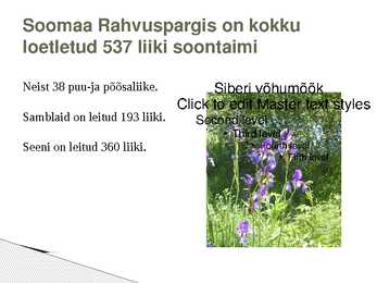 Soomaa rahvuspark #7