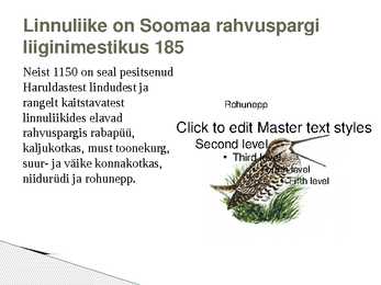 Soomaa rahvuspark #8