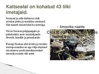 Soomaa rahvuspark #9