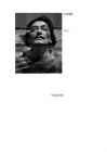Salvador Dali #11