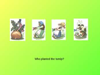 Turnip #11