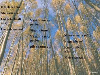 Juhan Liiv #5
