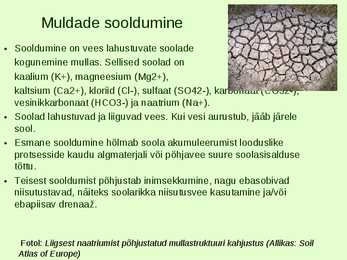Põllumajanduse mõju keskkonnale #21