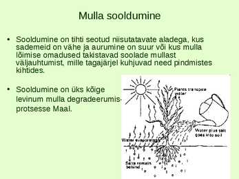 Põllumajanduse mõju keskkonnale #22