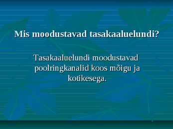 Kõrv #14