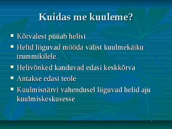 Kõrv #16