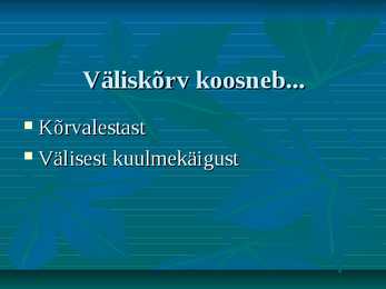 Kõrv #4