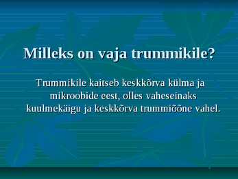 Kõrv #5