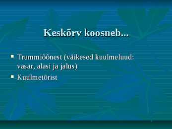 Kõrv #6