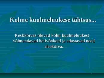 Kõrv #7