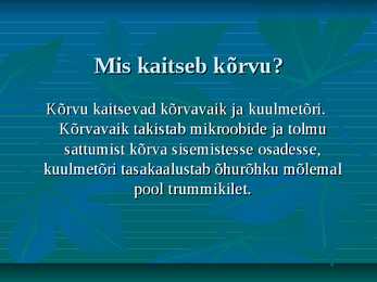 Kõrv #10