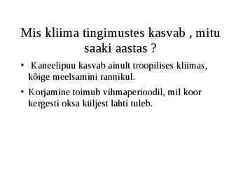 Kaneelipuu #2