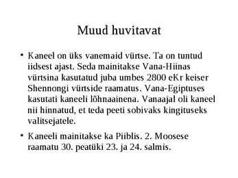 Kaneelipuu #5