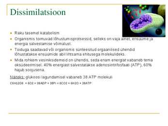 Ainevahetus - esitlus #6