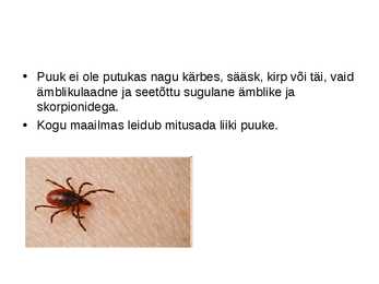 Puugid - esitlus #2