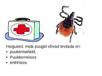 Puugid - esitlus #6