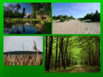 County of saaremaa #4