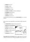Foobiad - referaat #4