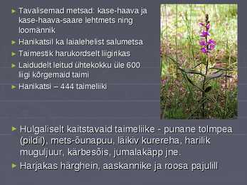 Hiiumaa laidude kaitseala #7