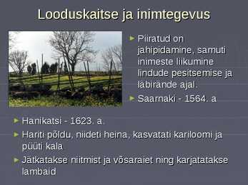 Hiiumaa laidude kaitseala #8
