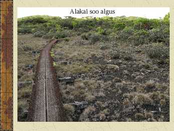Hawaii saarestik-esitlus #26
