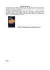 Book report form --Life-The Universe and Everything #9