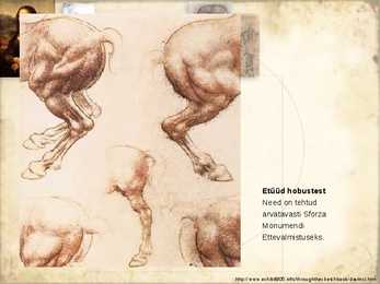 Leonardo Da Vinci-noorus-Firenze #25