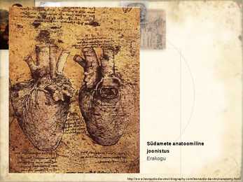 Leonardo Da Vinci-noorus-Firenze #30