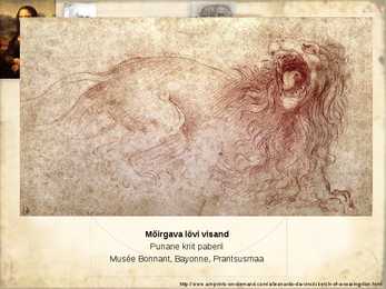 Leonardo Da Vinci-noorus-Firenze #6