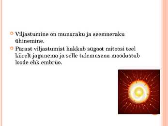 Inimese looteline areng #2