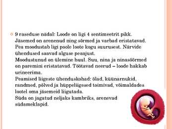 Inimese looteline areng #12