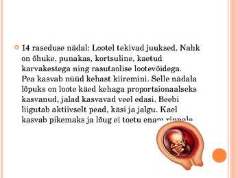 Inimese looteline areng #17