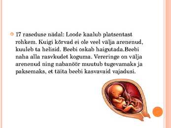 Inimese looteline areng #20