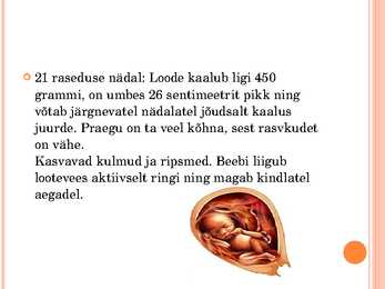 Inimese looteline areng #23