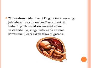 Inimese looteline areng #26