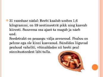 Inimese looteline areng #29