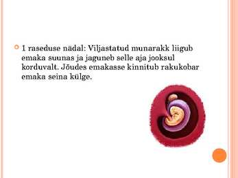 Inimese looteline areng #4